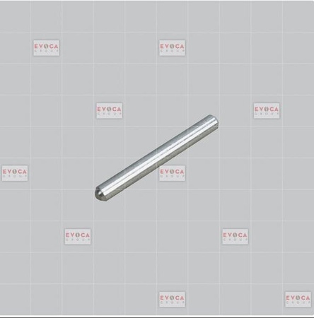 098822 - PIN FOR LEVER