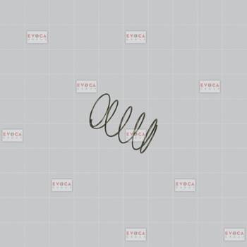 Sprężyna przycisku wyboru / Selection button spring