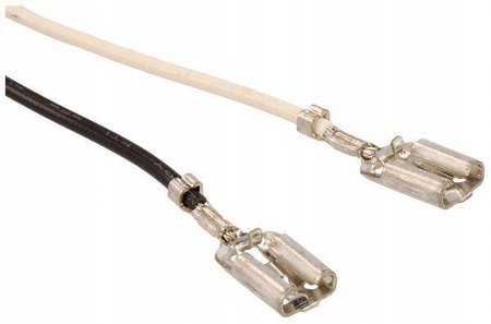 BEZPIECZNIK DO EKSPRESU SAECO/PHILIPS 421946000941